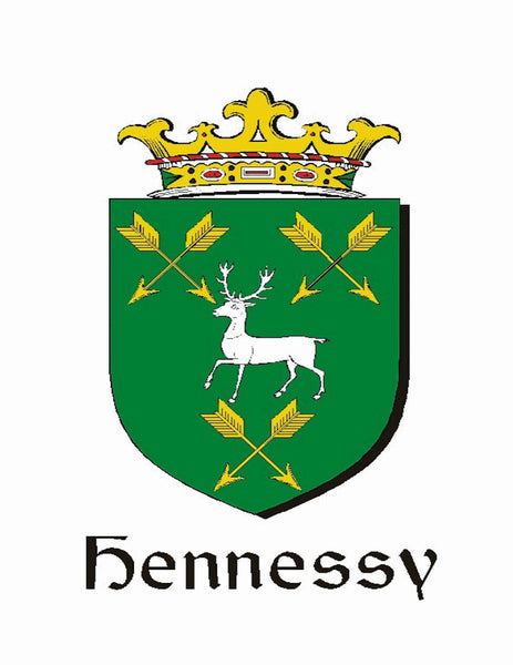 Hennessay Irish Coat of Arms Badge Glass Beer Mug
