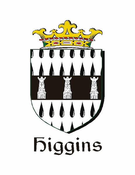 Higgins Irish Coat of Arms Badge Glass Beer Mug