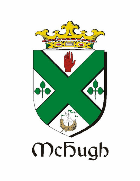 Hughes Irish Coat of Arms Badge Glass Beer Mug