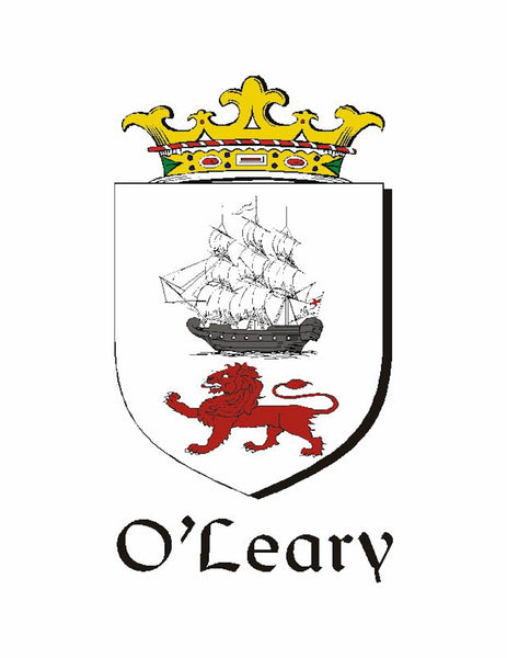 O'Leary Irish Coat of Arms Badge Glass Beer Mug