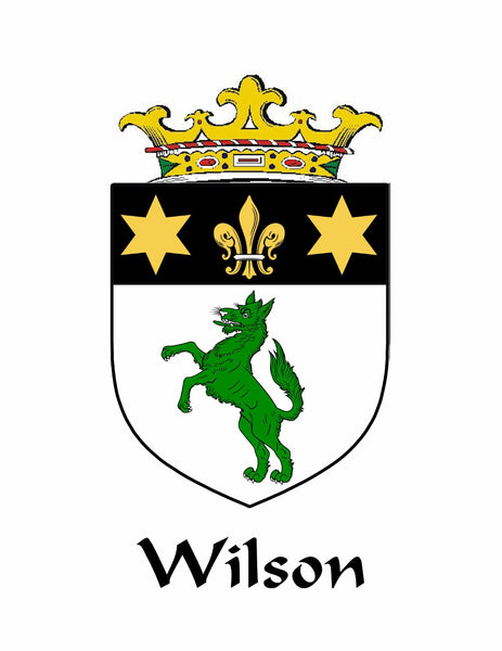 Wilson Irish Coat of Arms Badge Glass Beer Mug