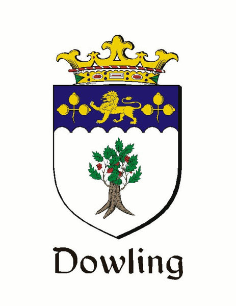 Dowling Irish Coat of Arms Celtic Cross Pendant ~ IP04