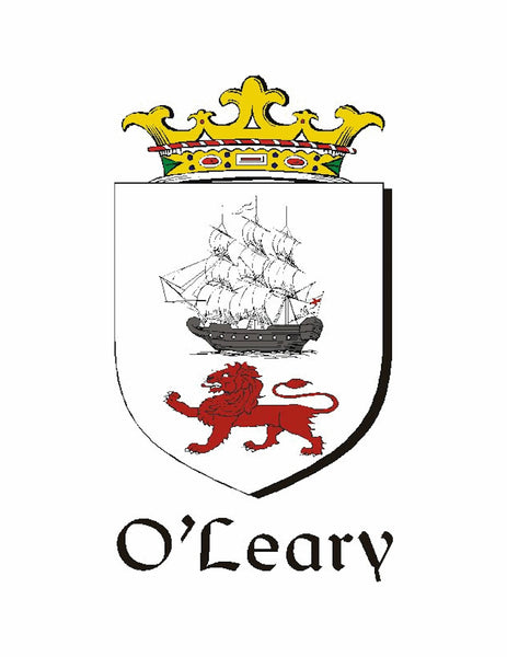 O'Leary Irish Coat of Arms Celtic Cross Pendant ~ IP04