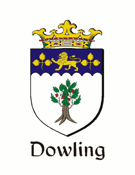 Dowling Irish Coat of Arms Disk Loop Tie Bar ~ Sterling silver