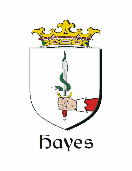 Hayes Irish Coat of Arms Disk Loop Tie Bar ~ Sterling silver
