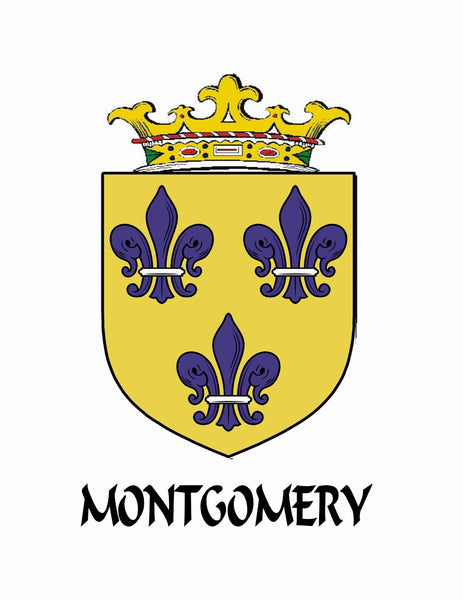 Montgomery Irish Coat of Arms Disk Loop Tie Bar ~ Sterling silver