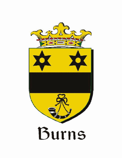 Burns Irish Coat of Arms Badge Glass Beer Mug