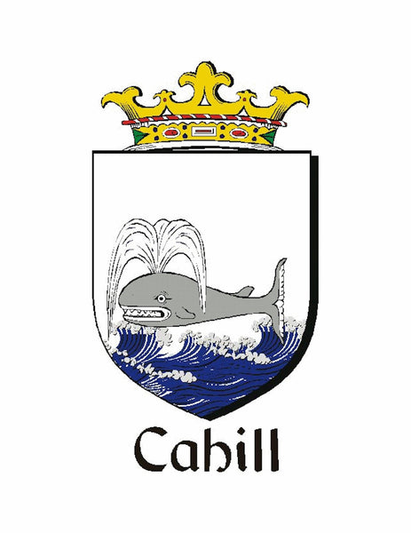 Cahill Irish Coat of Arms Badge Glass Beer Mug