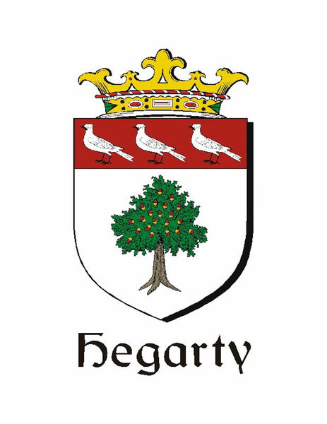 Hagerty Irish Coat of Arms Badge Glass Beer Mug