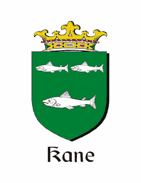 Kane Irish Coat of Arms Badge Glass Beer Mug