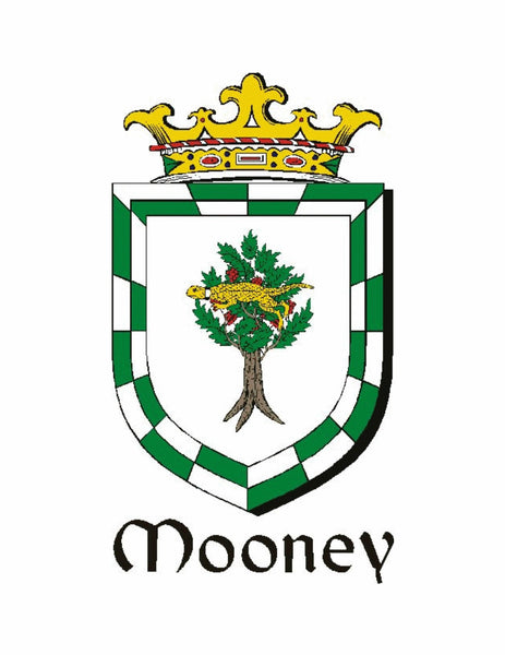 Mooney Irish Coat of Arms Badge Glass Beer Mug