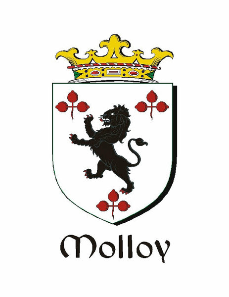 Mulloy  Irish Coat of Arms Badge Glass Beer Mug