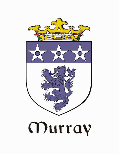 Murray Irish Coat of Arms Badge Glass Beer Mug