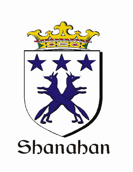Shanahan Irish Coat of Arms Badge Glass Beer Mug