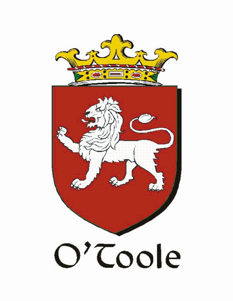 O'Toole Irish Coat of Arms Badge Glass Beer Mug