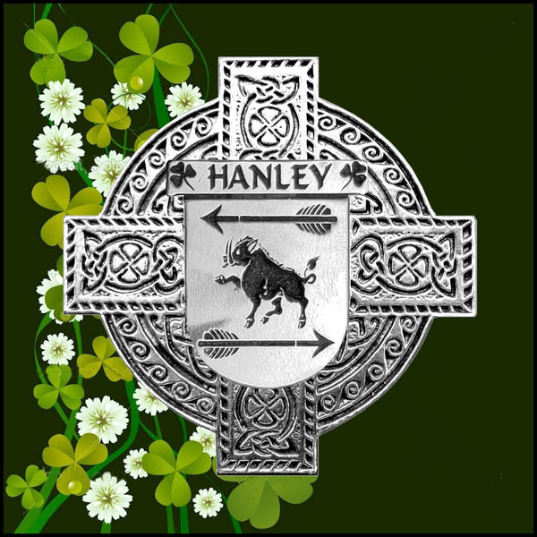Hanley Irish Dublin Coat of Arms Badge Decanter