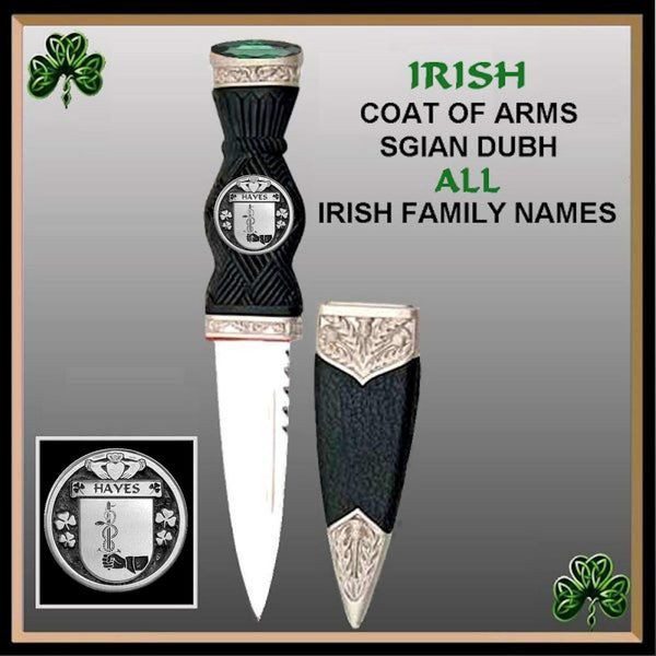 Hayes Irish Coat Of Arms Disk Sgian Dubh