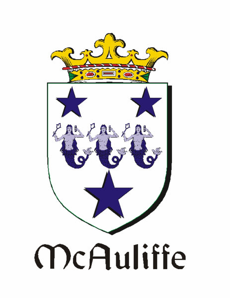 McAuliffe Irish Coat of Arms Disk Loop Tie Bar ~ Sterling silver