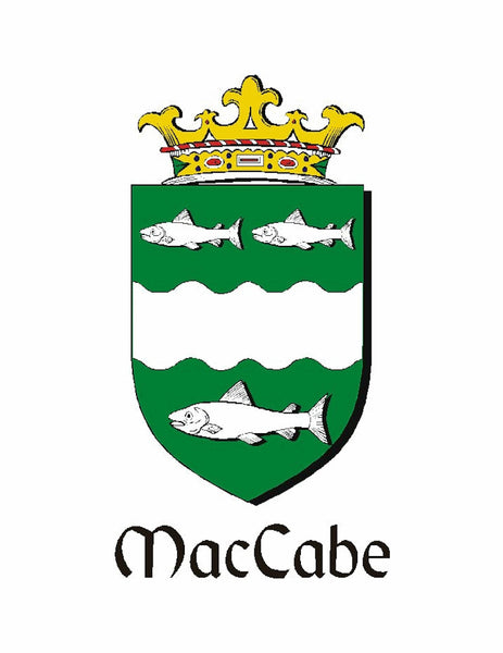 McCabe Irish Coat of Arms Disk Loop Tie Bar ~ Sterling silver