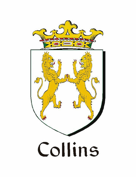 Collins Irish Coat of Arms Disk Loop Tie Bar ~ Sterling silver