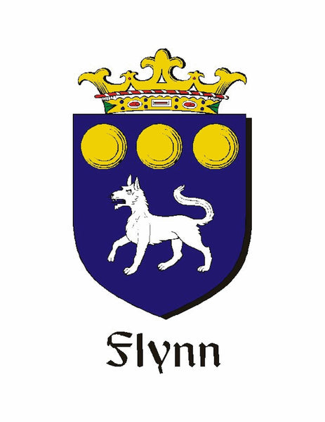 Flynn Irish Coat of Arms Disk Loop Tie Bar ~ Sterling silver