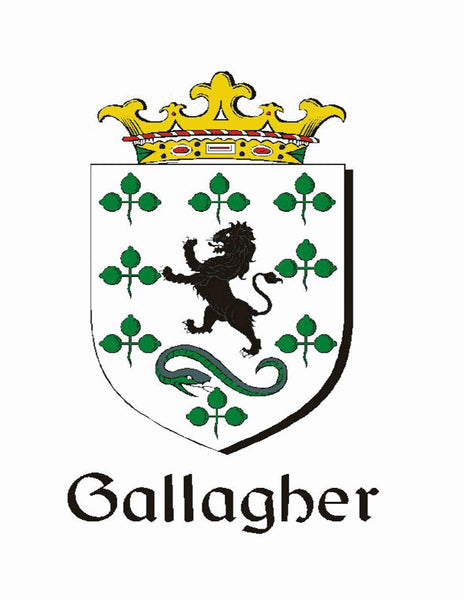 Gallagher Irish Coat of Arms Disk Loop Tie Bar ~ Sterling silver