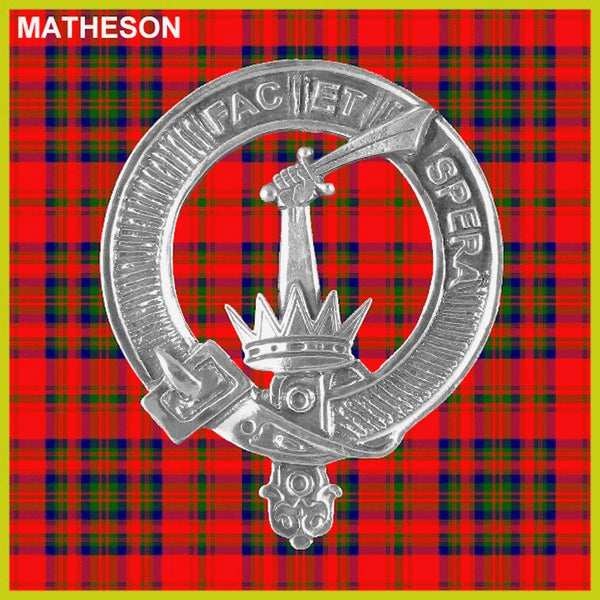 Matheson Clan Badge Scottish Plaid Brooch