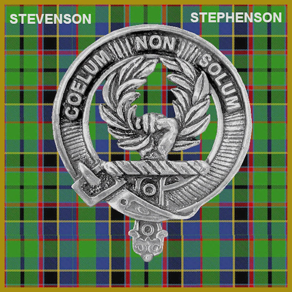 Stevenson Clan Badge Scottish Plaid Brooch