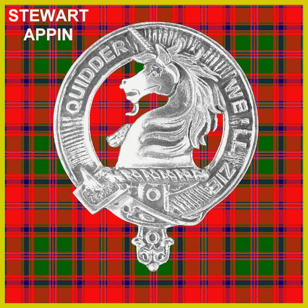 Stewart (Appin) Clan Badge Scottish Plaid Brooch