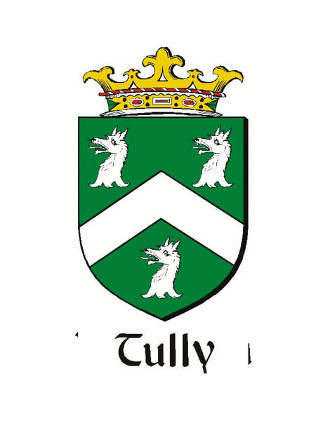 Tully  Irish Coat of Arms Disk Pendant, Irish