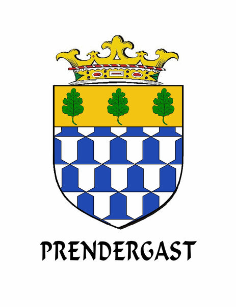 Prendergast (Wexford) Irish Coat of Arms Interlace Kilt Buckle