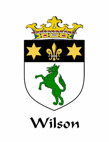 Wilson Irish Dublin Coat of Arms Badge Decanter