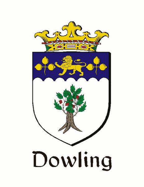 Dowling Irish Coat Of Arms Badge Stainless Steel Tankard