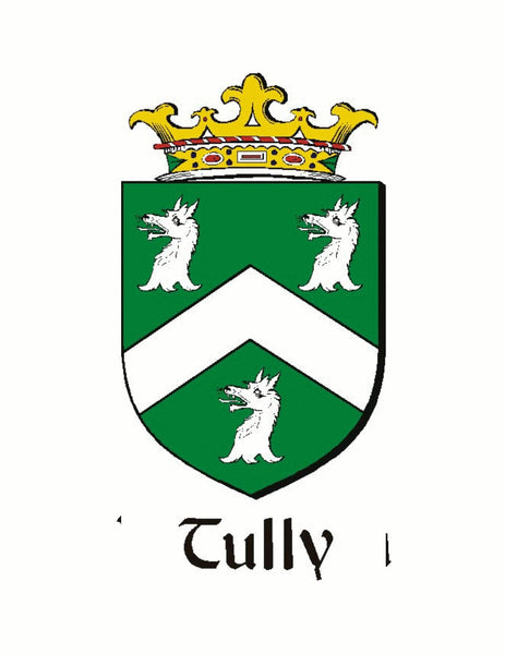 Tully Irish Dirk Coat of Arms Shield Kilt Pin