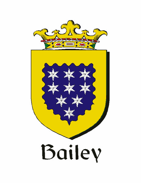 Bailey Irish Claddagh Coat of Arms Badge
