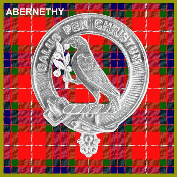 Abernethy Clan Badge Scottish Plaid Brooch