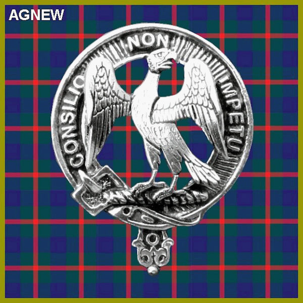 Agnew Clan Badge Scottish Plaid Brooch
