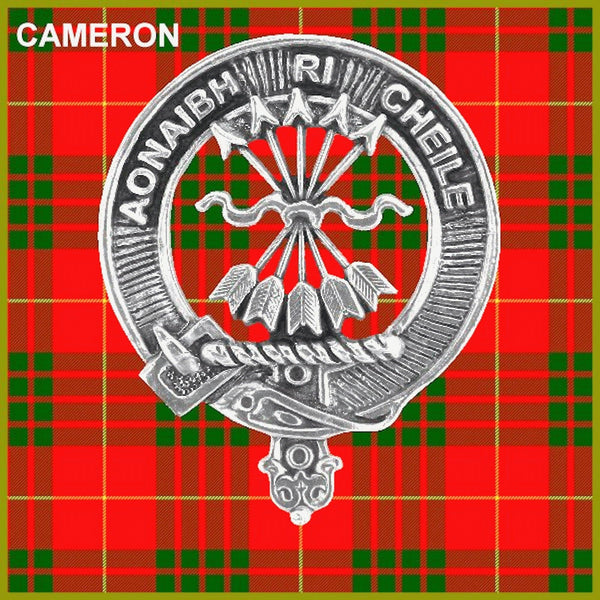 Cameron Clan Badge Scottish Plaid Brooch
