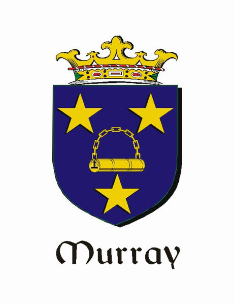 Murray 2 Irish Coat of Arms Celtic Interlace Disk Pendant ~ IP06