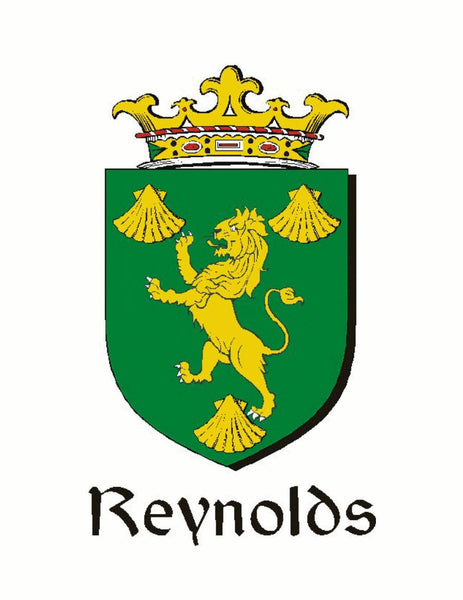 Reynolds Irish Coat of Arms Celtic Interlace Disk Pendant ~ IP06
