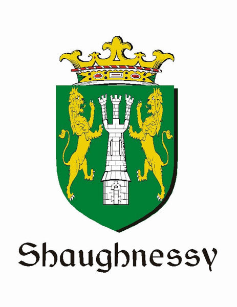 Shaughnessy Irish Coat of Arms Celtic Interlace Disk Pendant ~ IP06