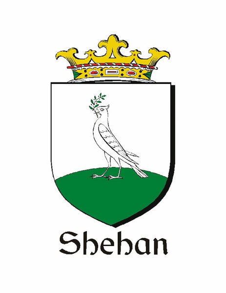 Sheehan Irish Coat of Arms Celtic Interlace Disk Pendant ~ IP06