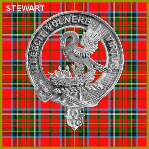 Stewart (Royal) Clan Badge Scottish Plaid Brooch
