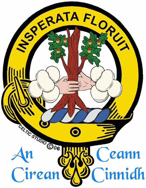 Watson  Clan Badge Scottish Plaid Brooch