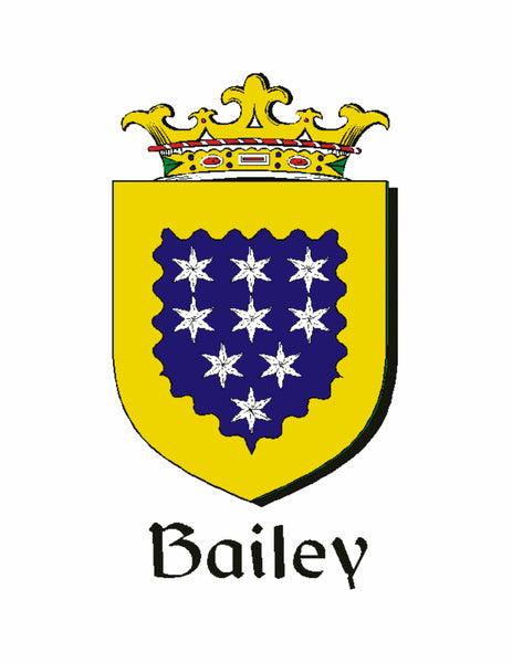 Bailey Irish Family Coat of Arms Stick Pin