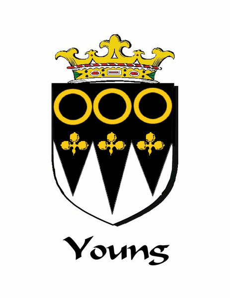 Young Irish Family Coat of Arms Stick Pin