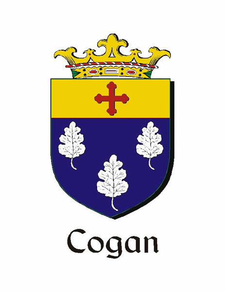 Cogan Irish Dirk Coat of Arms Shield Kilt Pin