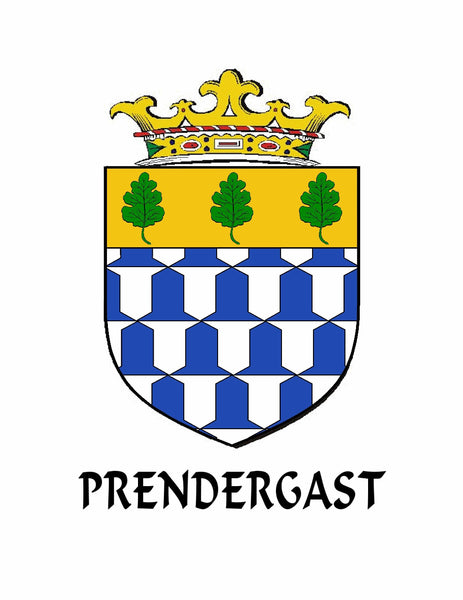 Prendergast (Wexford) Irish Dirk Coat of Arms Shield Kilt Pin