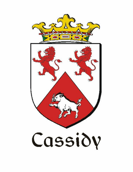 Cassidy Irish Coat of Arms Celtic Interlace Disk Pendant ~ IP06