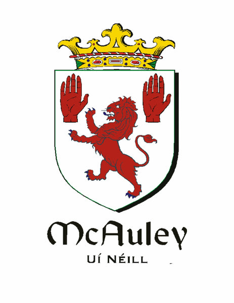 McCauley Irish Coat of Arms Celtic Interlace Disk Pendant ~ IP06